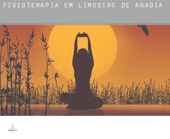 Fisioterapia em  Limoeiro de Anadia