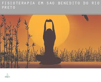 Fisioterapia em  São Benedito do Rio Preto