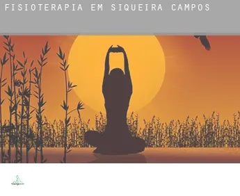 Fisioterapia em  Siqueira Campos