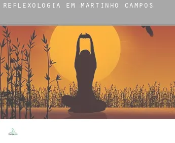 Reflexologia em  Martinho Campos