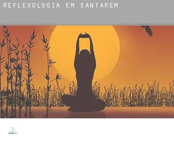 Reflexologia em  Santarém