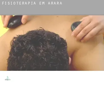 Fisioterapia em  Arara