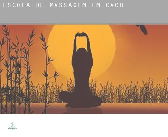 Escola de massagem em  Caçu