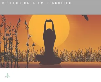 Reflexologia em  Cerquilho