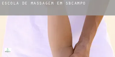 Escola de massagem em  SBCampo