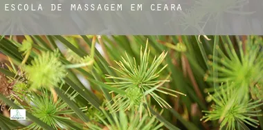 Escola de massagem em  Ceará