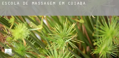 Escola de massagem em  Cuiabá