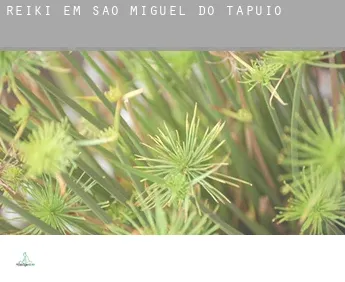 Reiki em  São Miguel do Tapuio