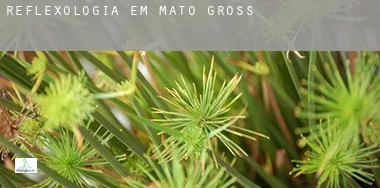 Reflexologia em  Mato Grosso