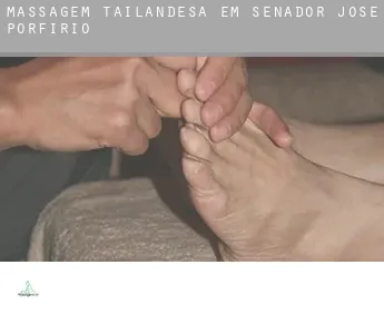 Massagem tailandesa em  Senador José Porfírio