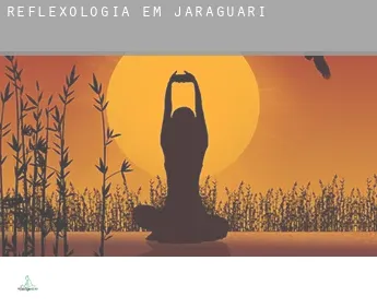 Reflexologia em  Jaraguari