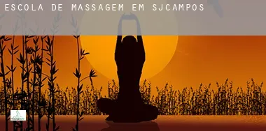 Escola de massagem em  SJCampos